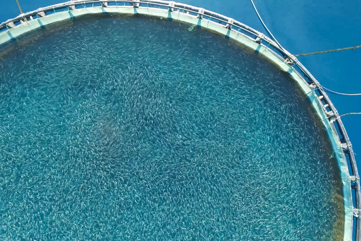Aquaculture and Fisheries_1 Aquaculture and Fisheries_1