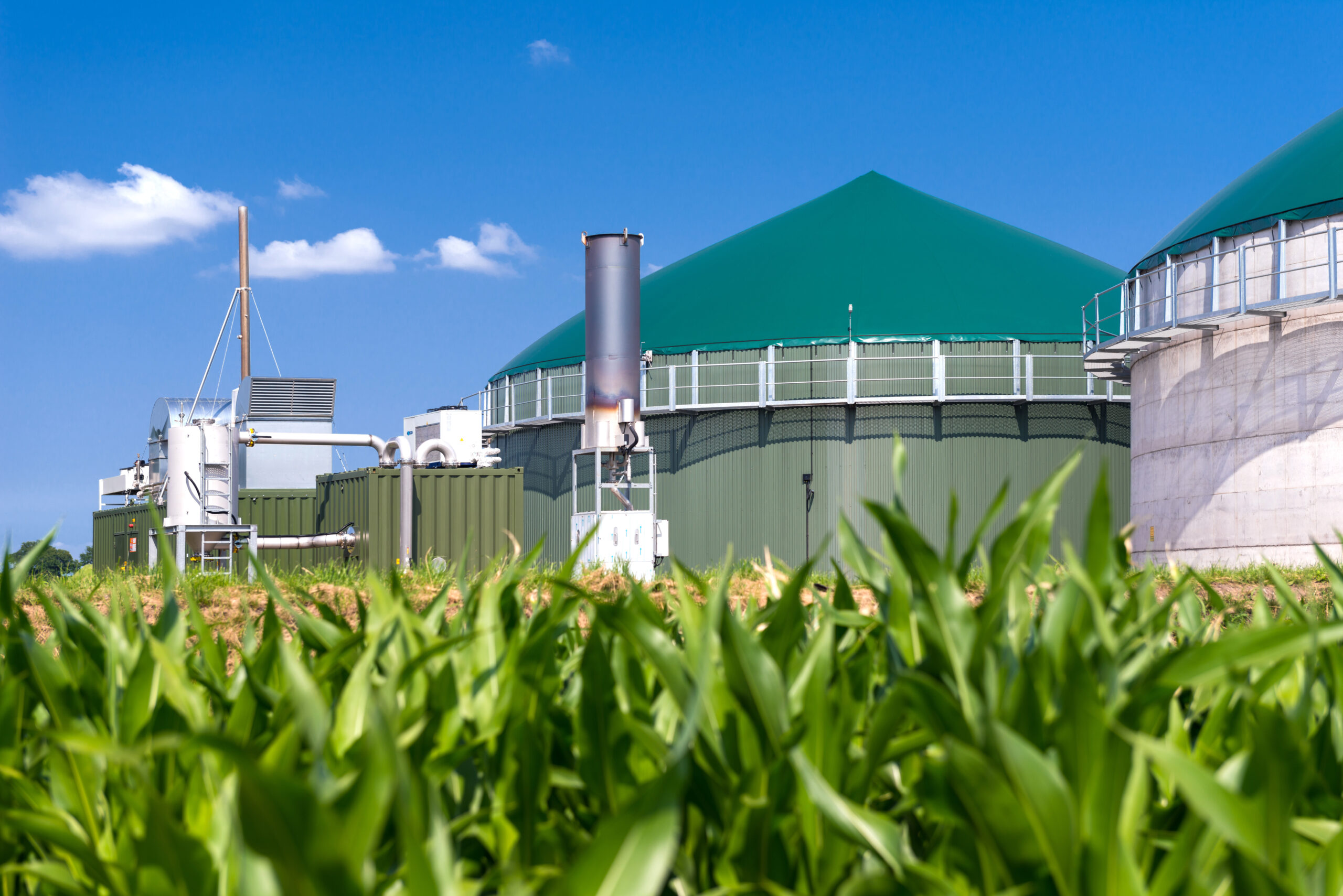 Biomass & Biofuel Biomass & Biofuel
