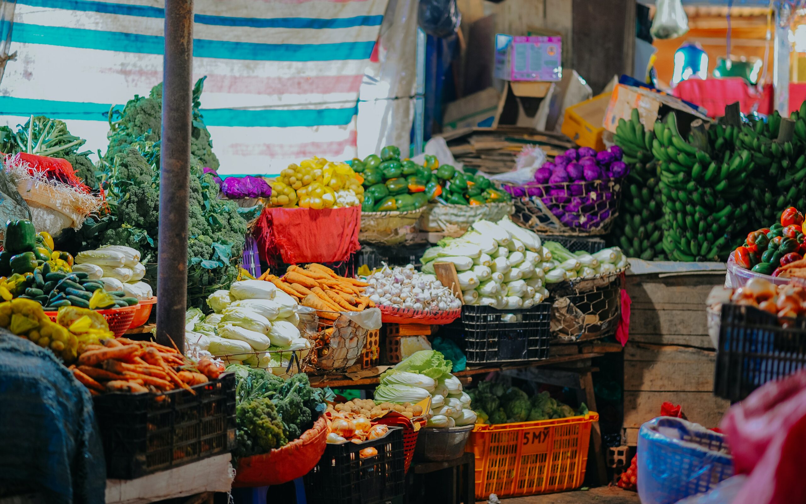 vegetables vegetables